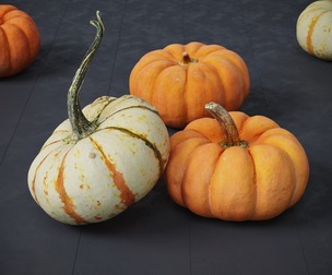 Pumpkins 7 Models