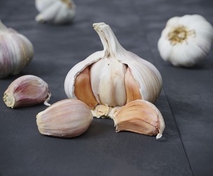 Garlic 8 Models