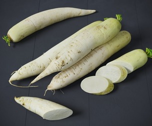 Daikon Radish White Radish 8 Models