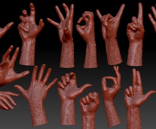 15 3D Scanned Hands