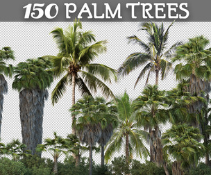150 Tropical Palm Trees Cut Out, Coconut tree isolated, Palm Leaf, Branch Tree Landscape Scenery