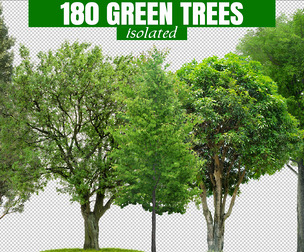 180 Green Trees PNG, Cut Out, Isolated Nature Forest, Photo Overlays, Deciduous Tree