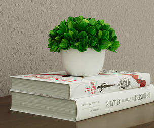 Small Decorative Potted Plant -  3D Model