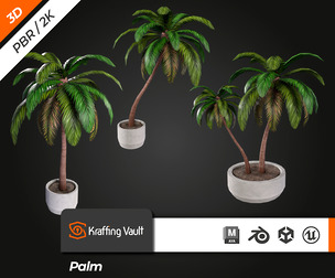 Palm