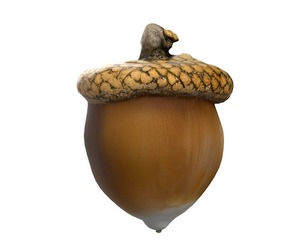 Acorn v1