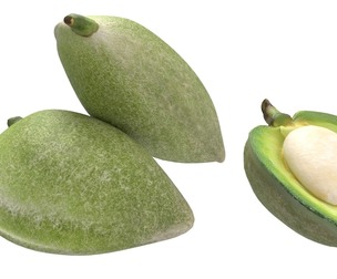 Almond green set