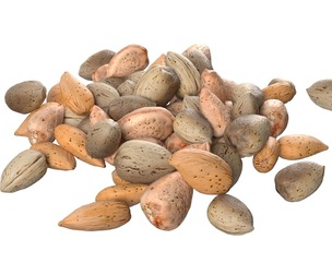 Almond shell pile