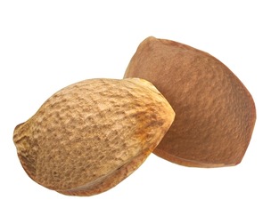 Apricot Kernels