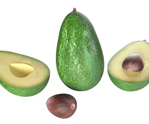 Avocado fruit seed