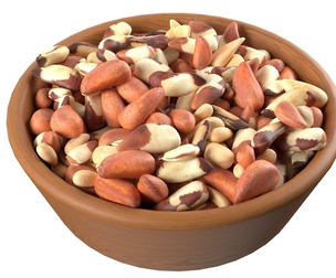 Brazilian nut bowl