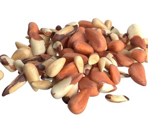 Brazilian nut pile
