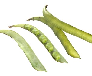 Broad bean pod