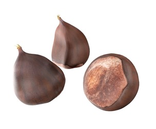 chestnut kernel