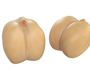 Chickpeas Beans
