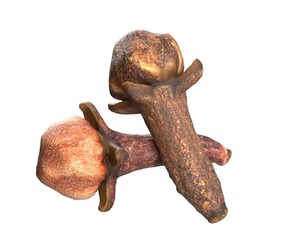 Cloves