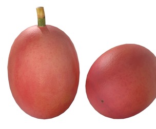 Coffee bean red raw