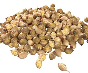 Coriander seed pile