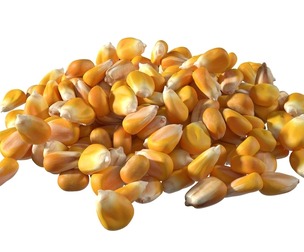 Coriander seed pile