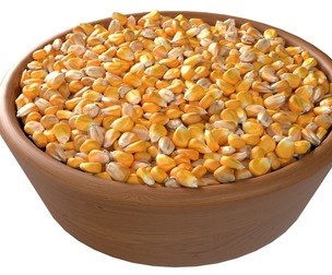 Corn seed bowl