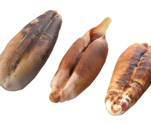 Date seeds