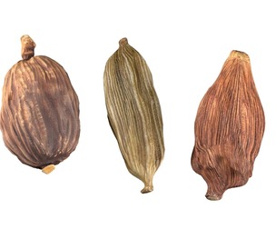 Dried cardamom fruit