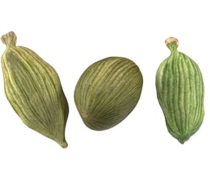 Dreid Green cardamom