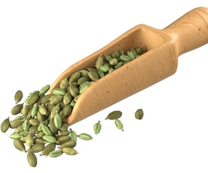 Dried green cardamom scoop