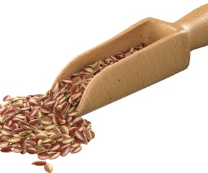 Flax Seed Scoop
