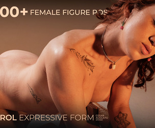 400+ Female Figure Poses - Carol Expressive Form
