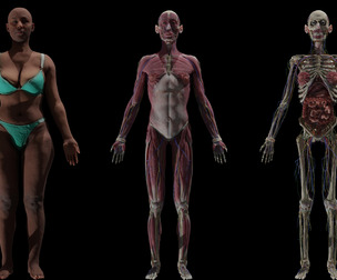Black Female Complete Anatomy Basemesh