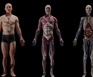 White Male Complete Anatomy