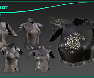 5 female chest armor