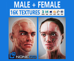 Human Male & Female Complete Anatomy