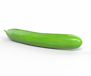 Realistic Cucumber