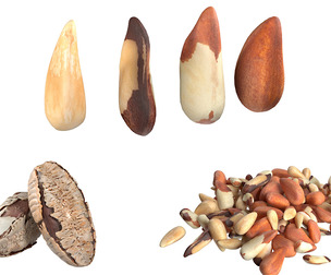 Brazilian nuts collection