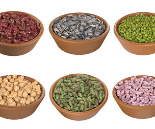 Bean and Seeds collection v1