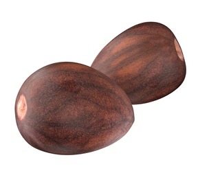 Avocado Seed