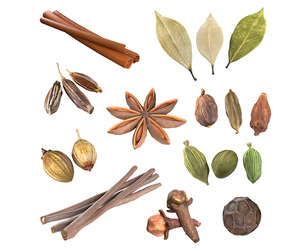 Spice Collection v1
