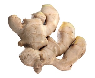 Ginger v2