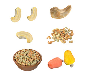 Cashew fruit set