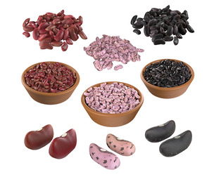 Kidney Bean Collection