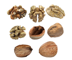 Walnut collection