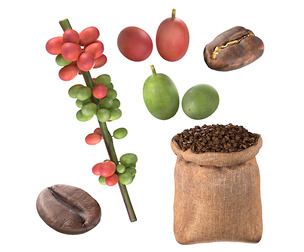 Coffee Bean set