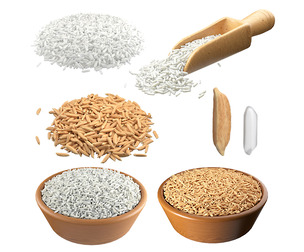 Rice grain collection