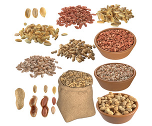 Peanut Mega Collection