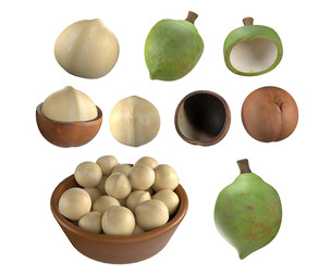Macadamia Nut Collection