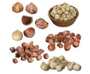 Hazelnut Mega Collection