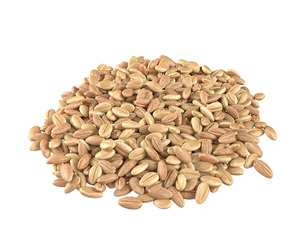 Wheat grain pile