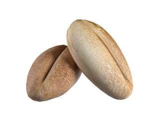 Wheat grain