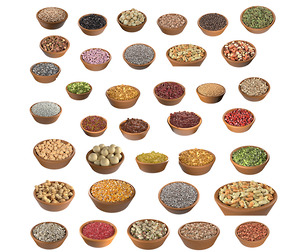 Seeds Grain Beans Nuts Mega Bowl collection